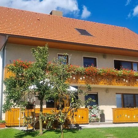 Apartma Ana In Manca Begunje na Gorenjskem Kültér fotó