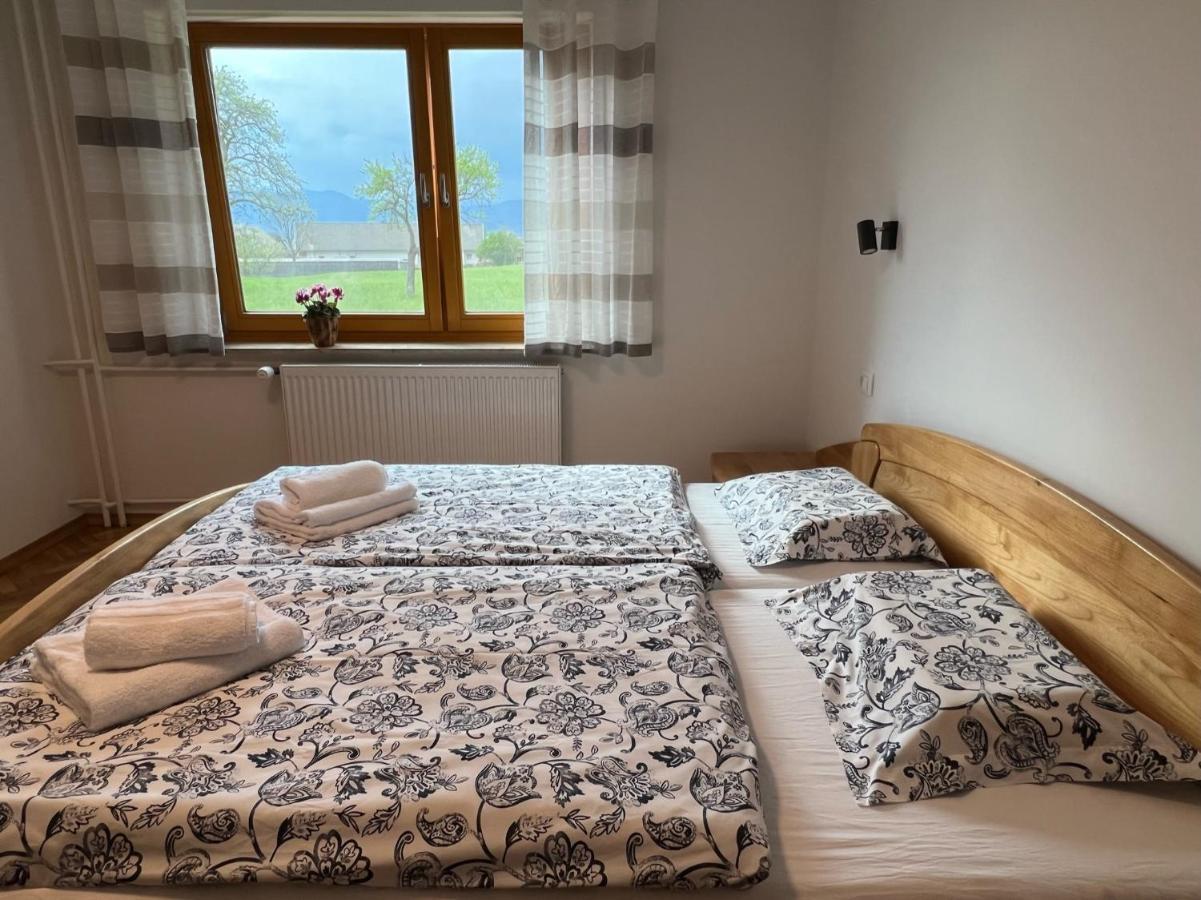 Apartma Ana In Manca Begunje na Gorenjskem Kültér fotó