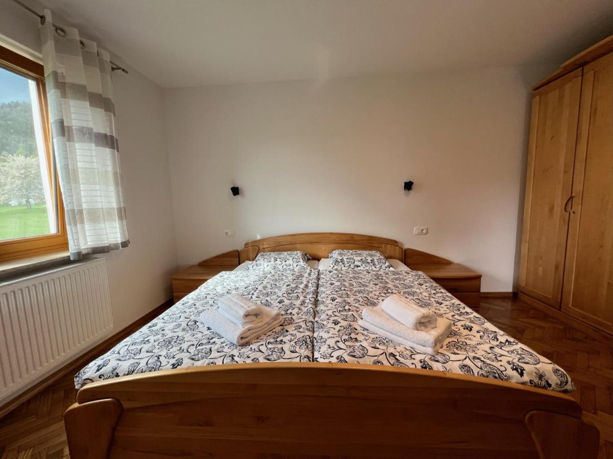 Apartma Ana In Manca Begunje na Gorenjskem Kültér fotó